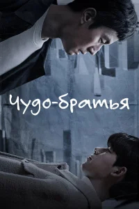 Чудесные братья бесплатно